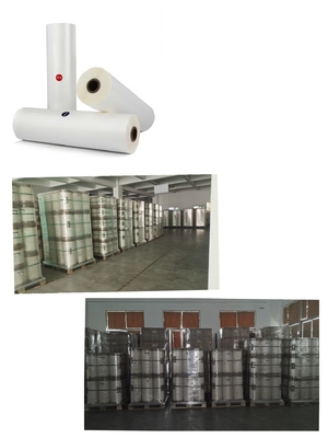 Película de laminado PET translúcida de 2000 m/rollo para envases de lujo