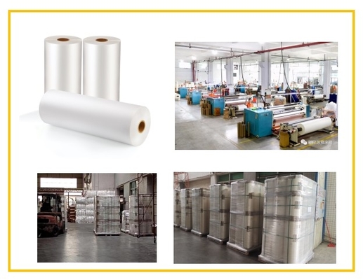SGS 15 Micrón BOPP Película de laminación térmica para portadas de libros